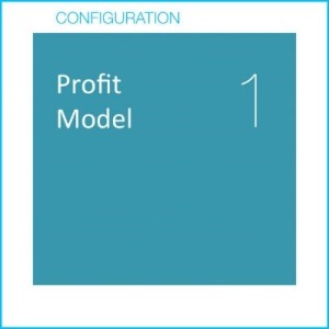 Profit Model